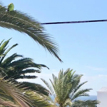 Barlovento. Near The Apartament *